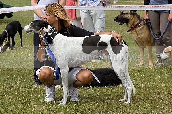  - Spirit of the Dog Funday July 2010