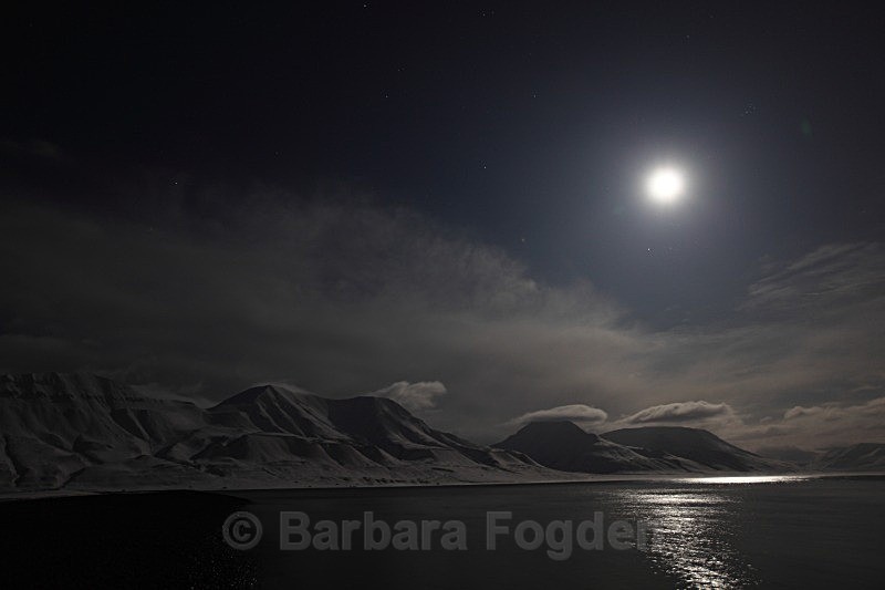 Adventfjord 2792 - Colours of Svalbard
