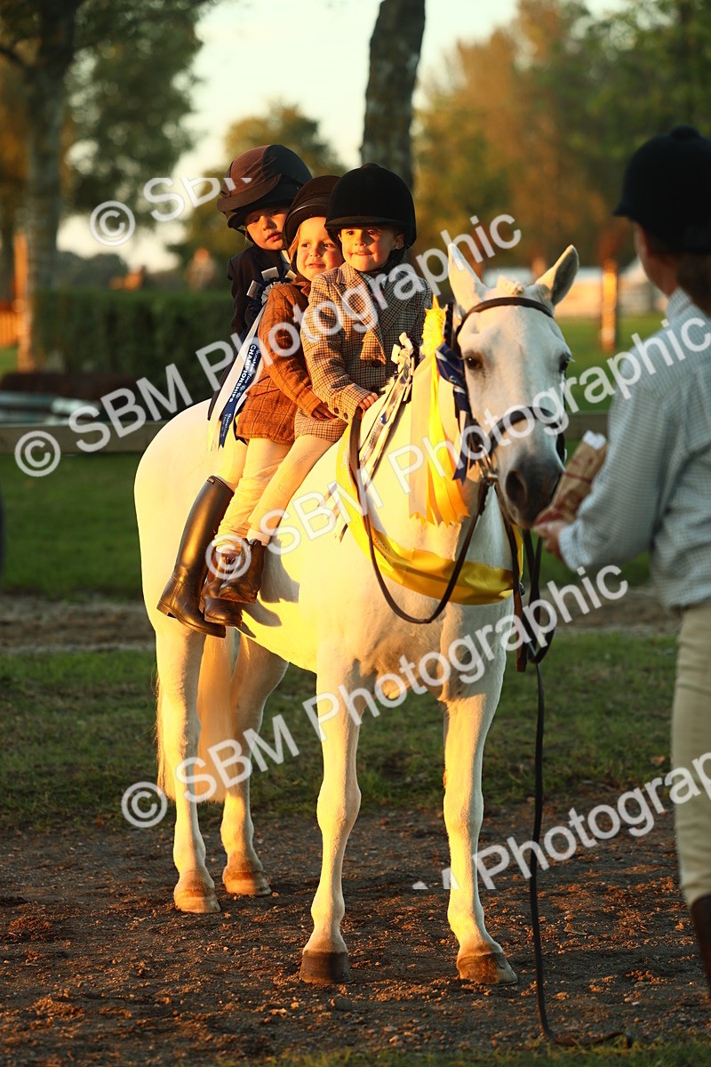 SBM_56756 - Fun & Versatile Supreme Championship