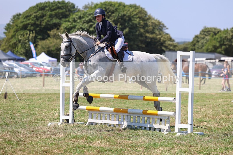 3E7A4385 - Class 10: Senior British Novice/90cm open