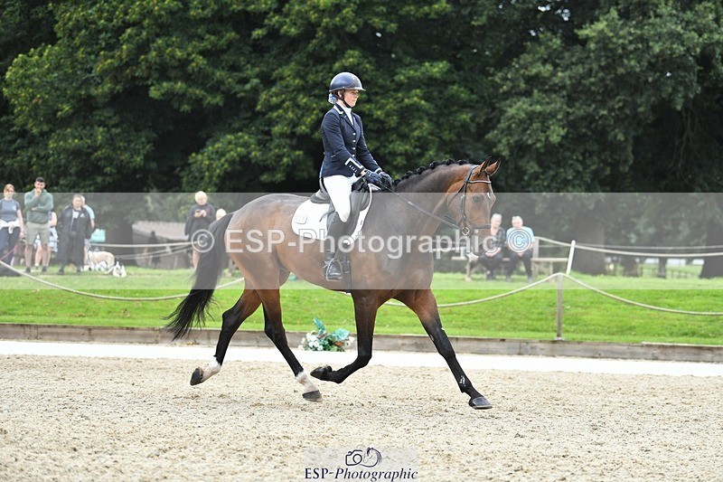 230812-124532-04210 - Cls 6 Novice Silver 12.10 to End