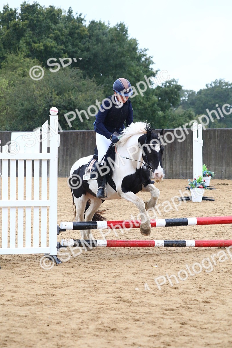 SBM_71554 - J4 - Mini Tour Junior Pony 45cm Championship