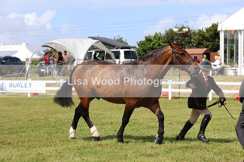 3E7A0034 - Class 5: Rising Star Lightweight/Heavyweight Cobs