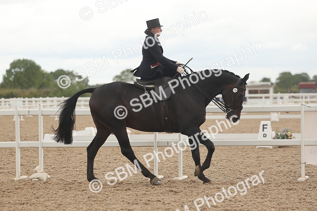 SBM_06310 - Class 23 - SSA - Classical
