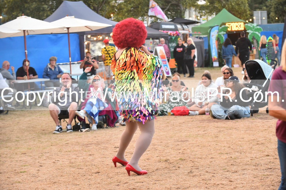SH4_4249 - Ruby Slippers