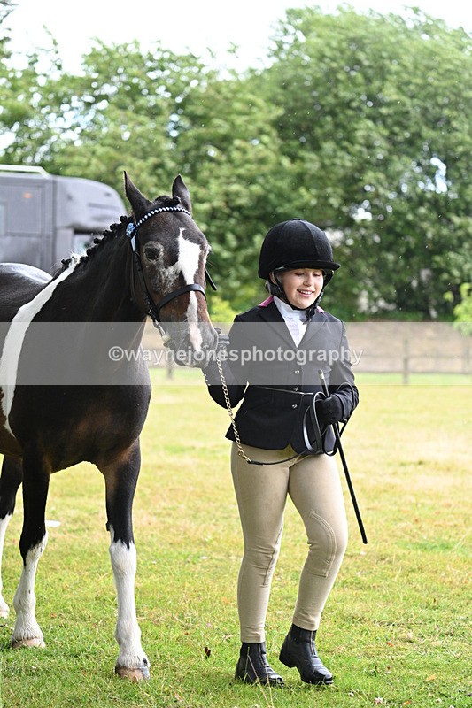 WJ7_5836 - Class 4 Prettiest Mare in Hand