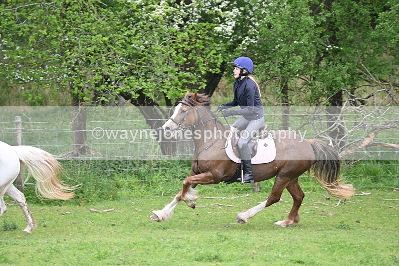 WJ6_3376 - A camera