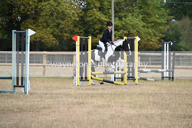 WJ6_0125 - Class 13 Novice Jumping 60cm