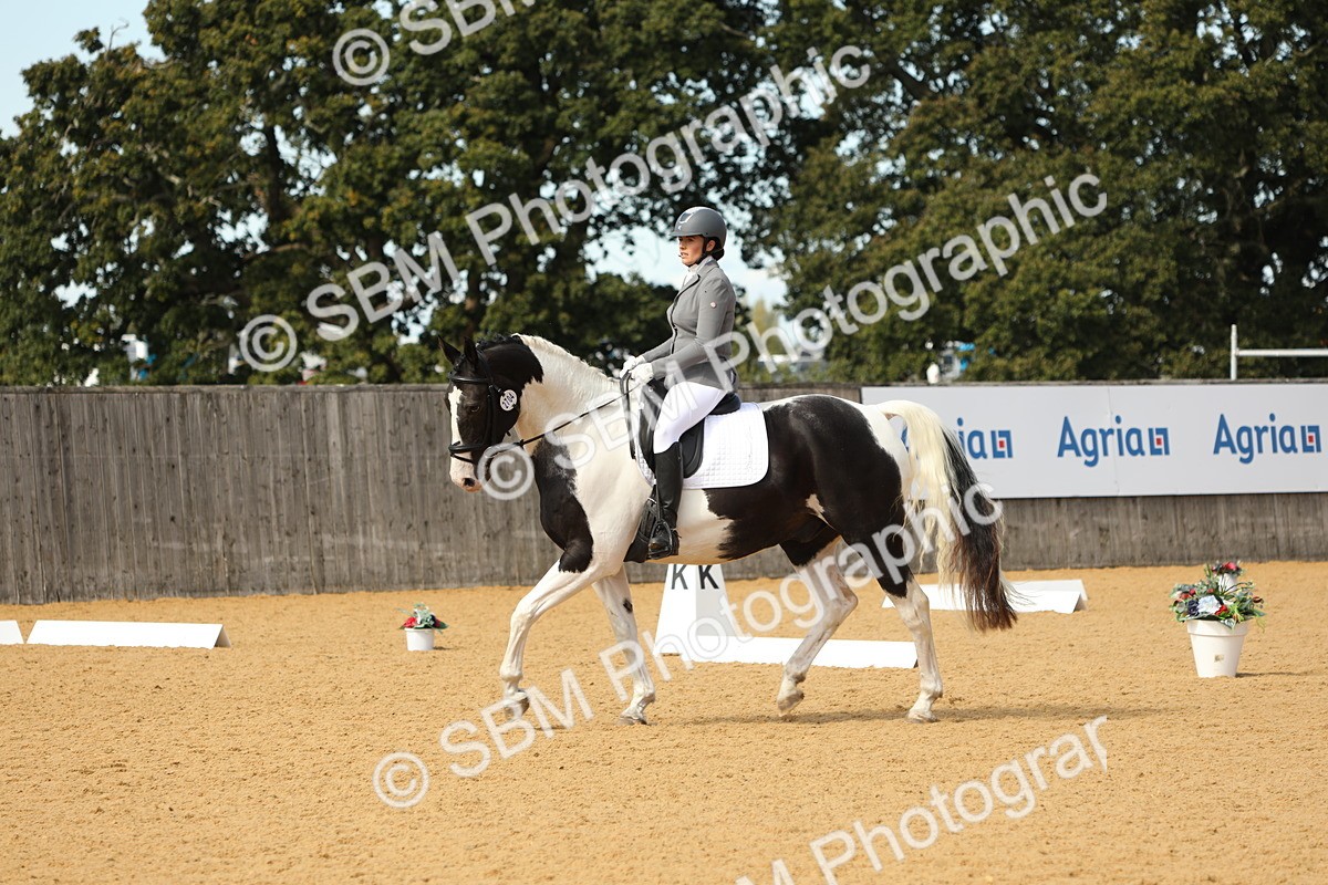 SBM_22227 - D17 - Grand Tour Championship - Novice 27
