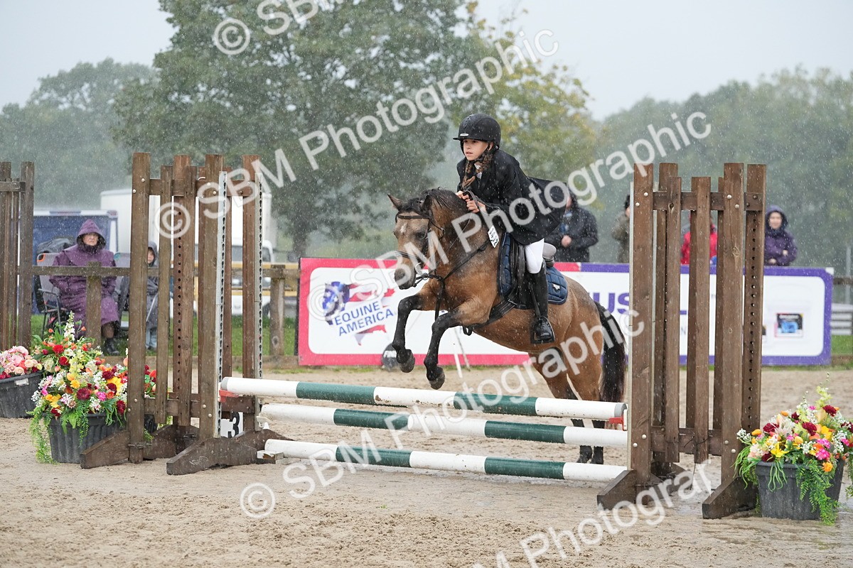 SBM_33504 - J5 - Junior Pony 50cm Championship