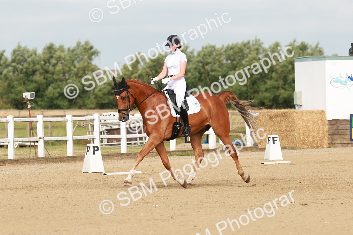 SBM_021209 - Class 13 - N5