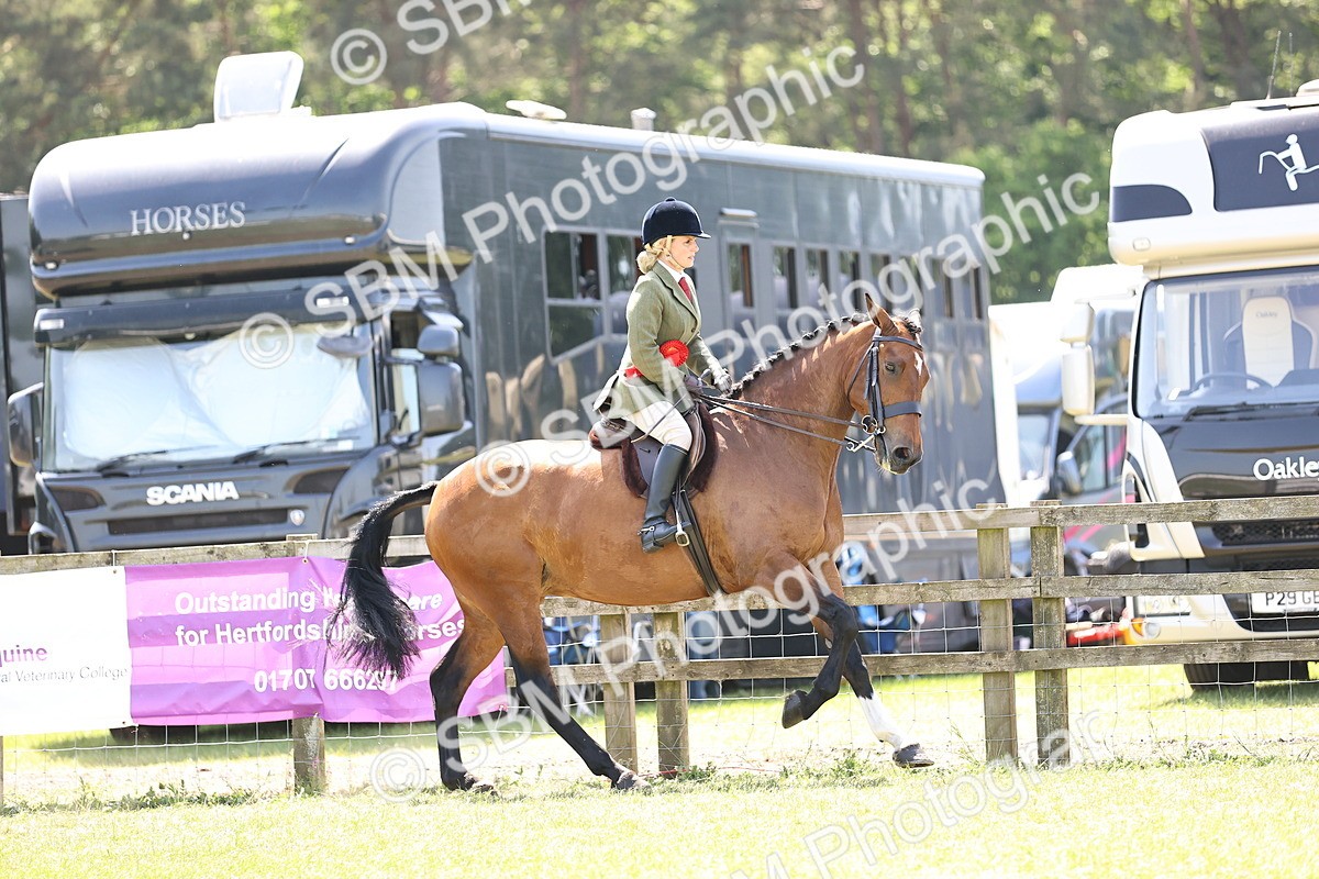 SBM_16223 - Class 79-80 - LIHS BSHA Rising Star Ridden Hunter