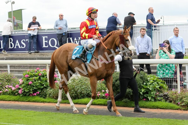 yr04092022r3-13 - Race 3 2.55pm The Elevator Company Garrowby Stakes