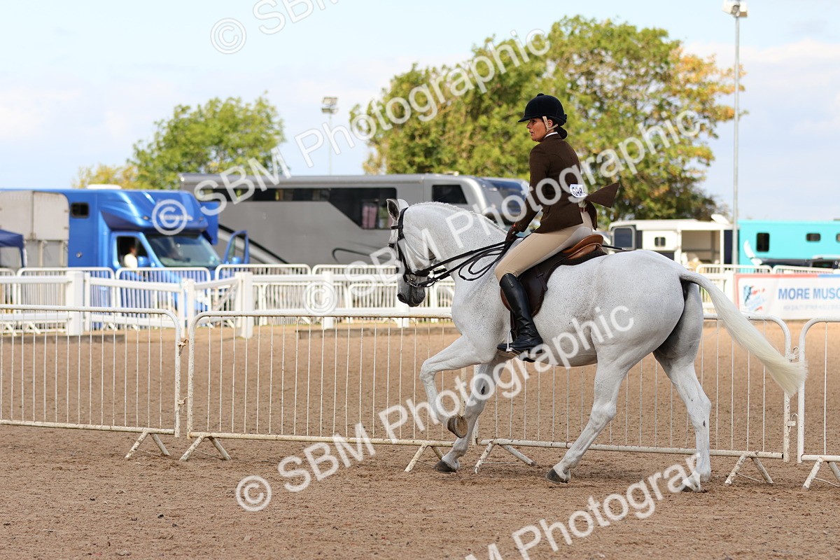 SBM_13207 - Class 211 - Ridden Hunter - Small
