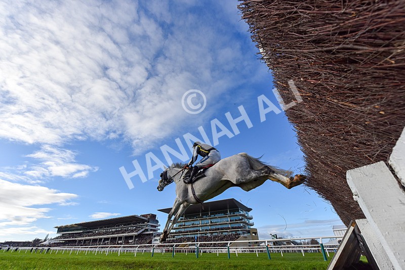 141224-Race 3-So Said I-9338