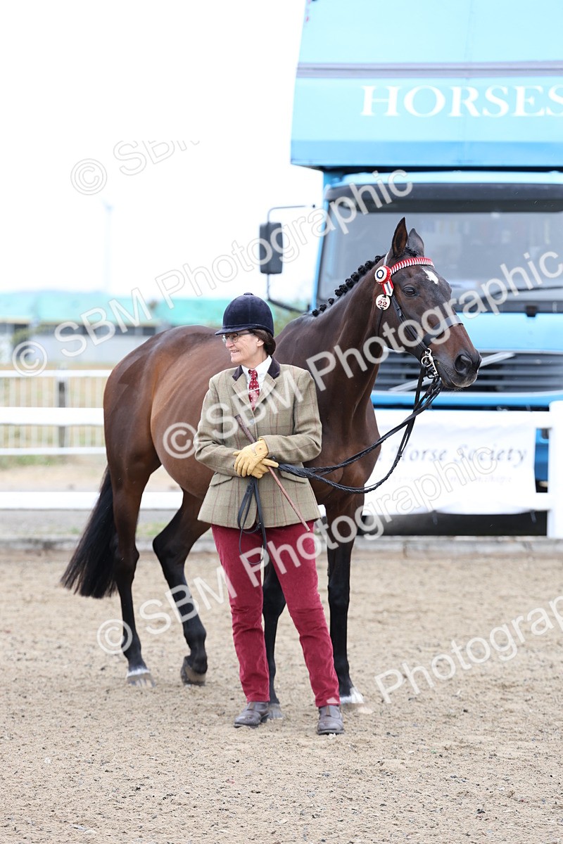 SBM_00051 - Class 50 - Best Turned Out IH