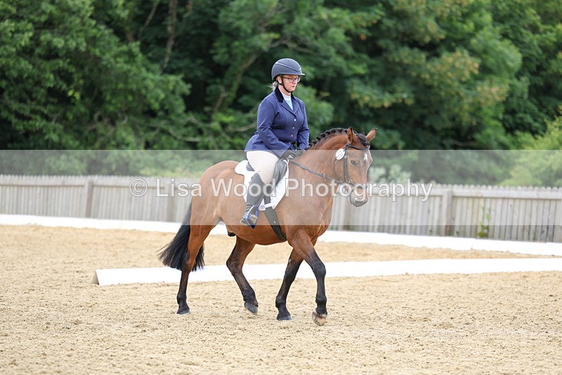 3E7A9514 - Class 2: Intro 1 2024 Section B