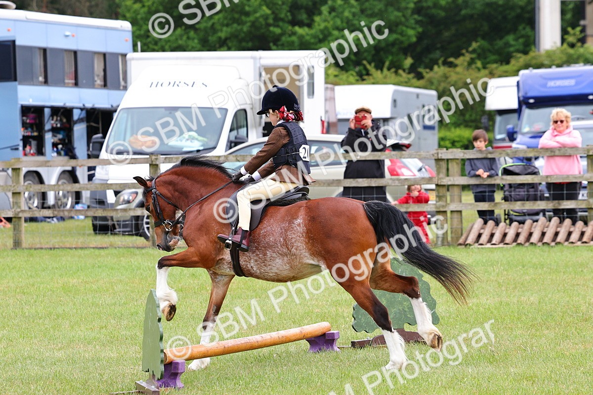 SBM_08773 - Class 42-43 - LIHS BSPS Heritage Working Sports Pony