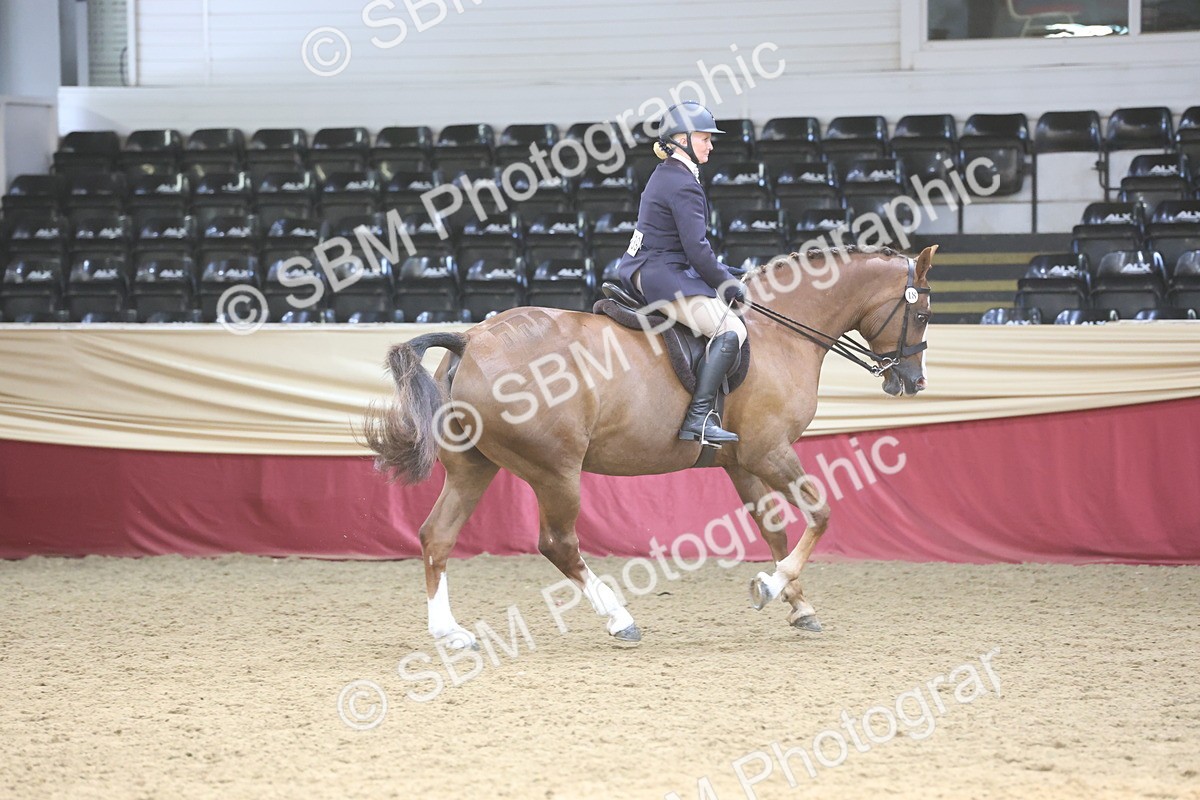 SBM_23793 - class 906 - Supreme Final - Ridden Pre Vet