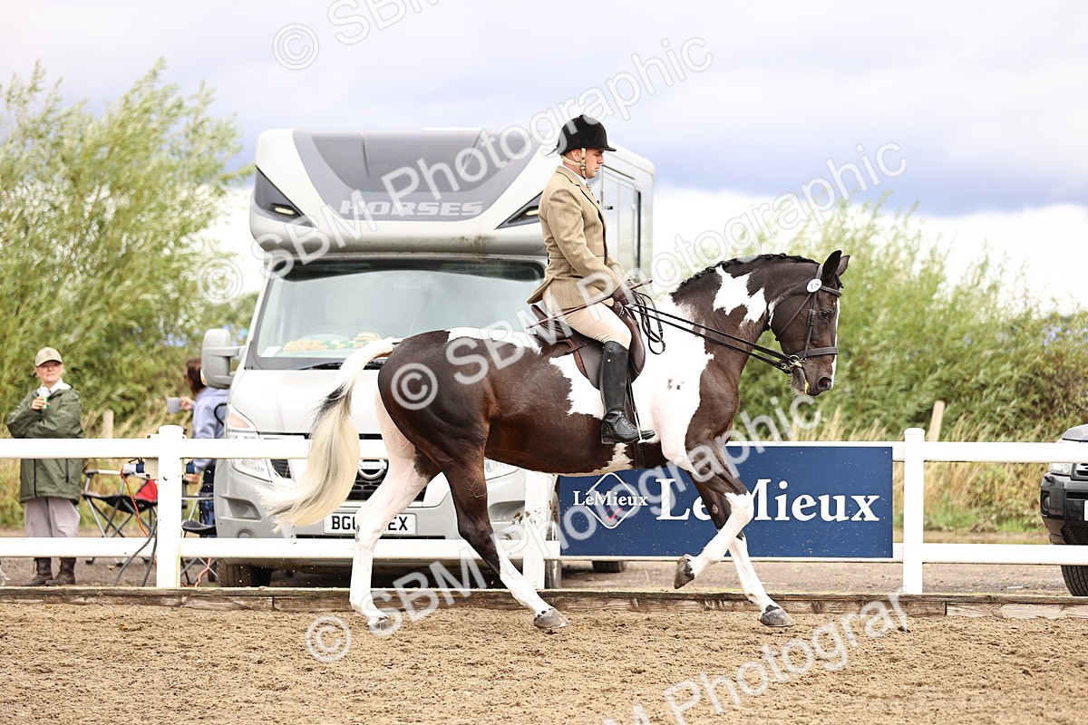 SBM_00571 - Class 53 - Ridden Competition Horse Pony