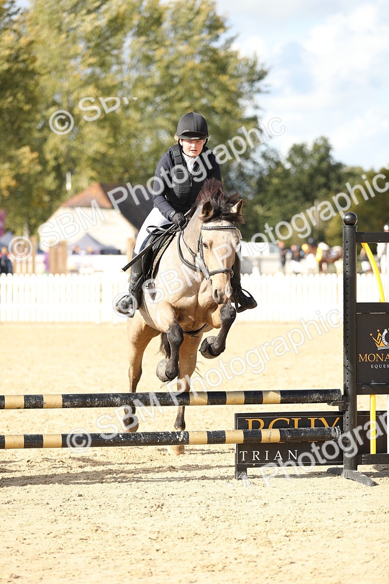 SBM_49539 - J22 - Junior Horse 65cm Championship
