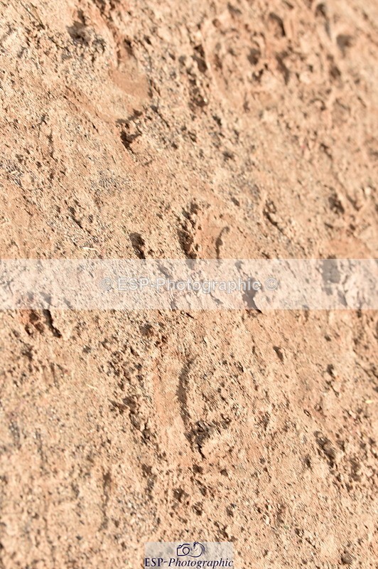 240303A-143306-00775 - Presentations