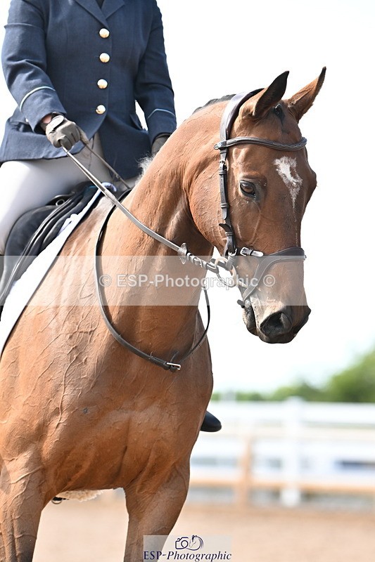 240622A-165034-13223 - Cls 6B+C Novice 30 RoR