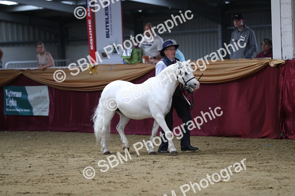 SBM_05090 - Class 8R- Regional -IH Veteran