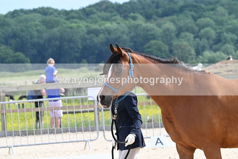 WJ7_8215 - Time 16:10 to 16:25