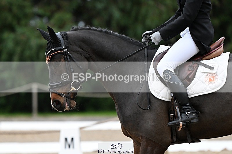 231019-165408-05452 - 073-ORNETA-Lisa.Maynard-DR