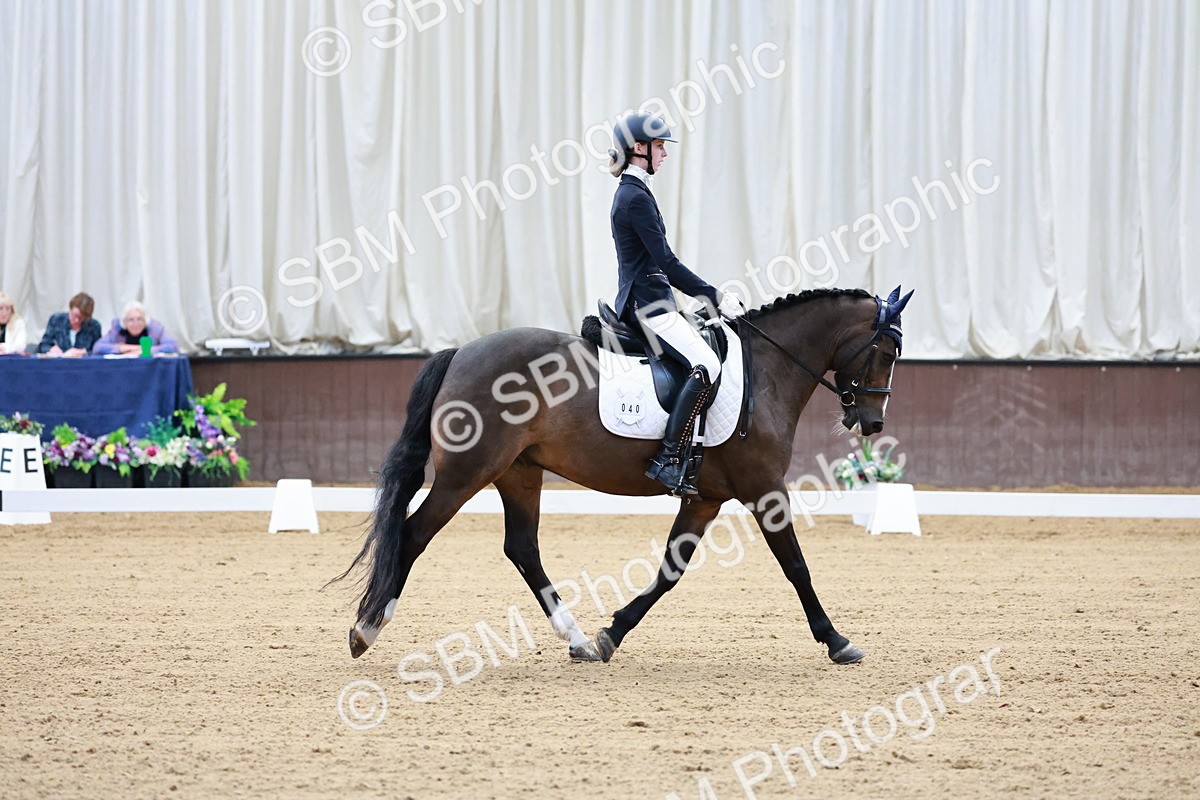 SBM_016795 - Class15 - FEI Pony