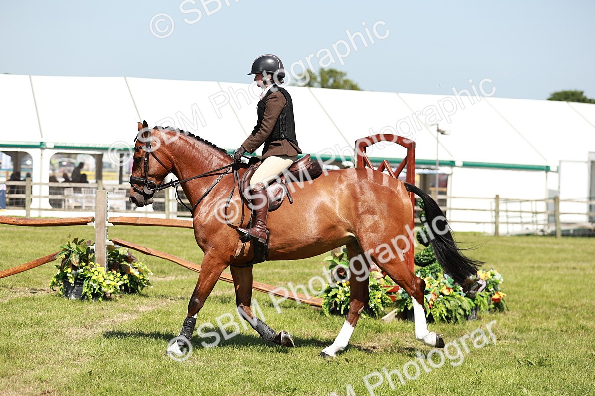 SBM_18313 - Class 112-113 - BSPS LIHS Working Sports Pony