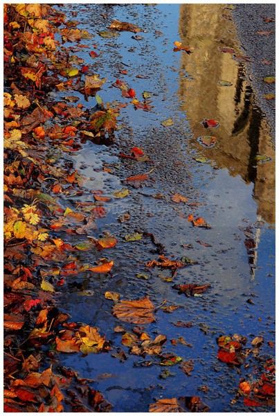 Art Of Nature, Demeter Walks - Art And Nature