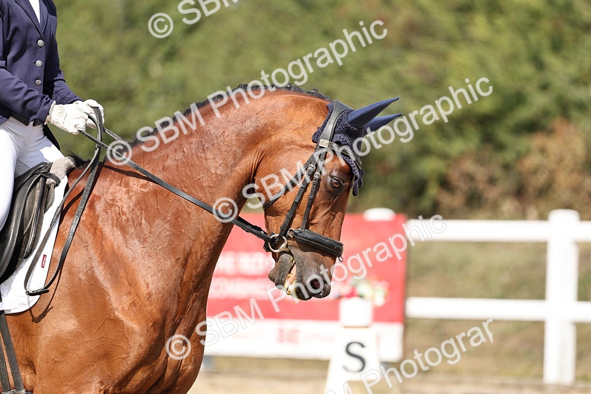 SBM_018661 - Class 16 - Novice 5 - 12.08-13.11