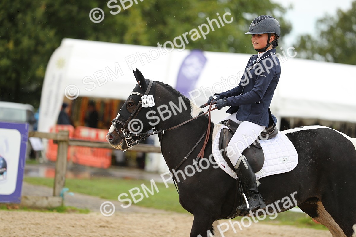 SBM_40411 - J21 - Junior Horse 60cm Championship
