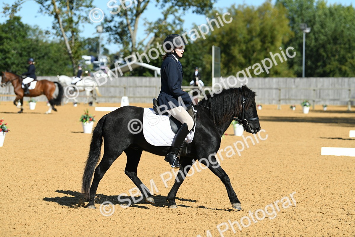 SBM_18168 - D4 - Small Tour Championship - Intro B