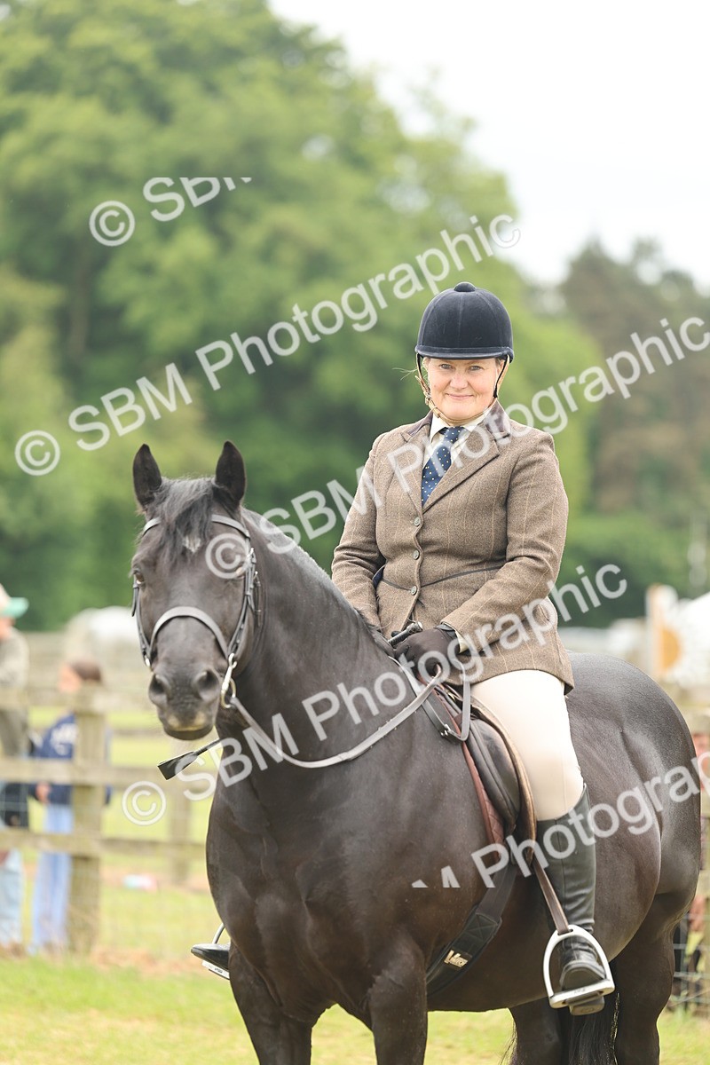 SBM_07240 - Class 76-77 - Ridden M&M Welsh Ponies