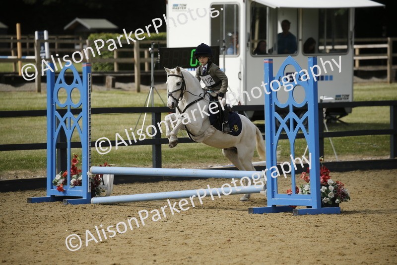 20250622-3740 - 50cm