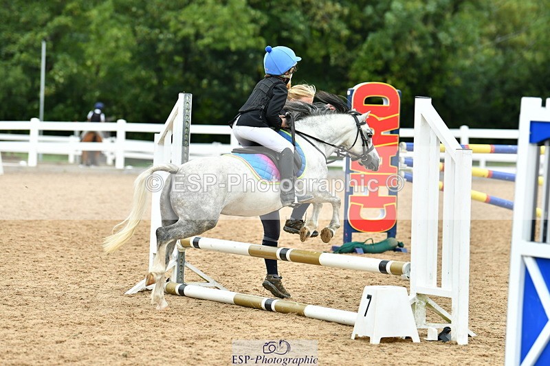 230804A-120815-02447 - Showjumping Competition