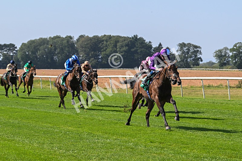 300824-Race 1-Tuscan Hills-5608 - Race 1