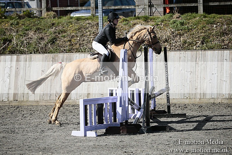 BVRC SJ 170319 260 - Bourne Valley Riding Club Showjumping 17/03/19
