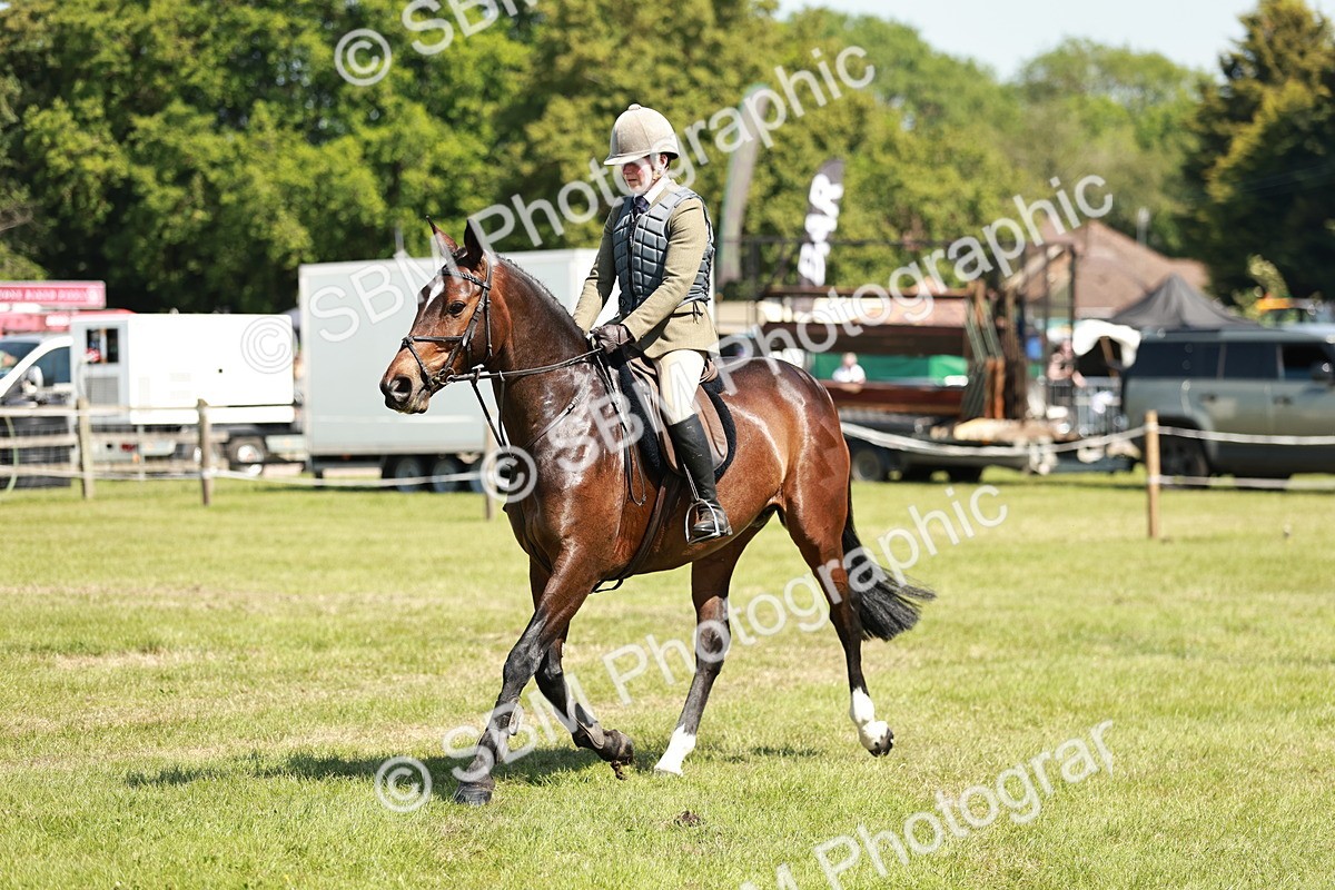 SBM_18341 - Class 112-113 - BSPS LIHS Working Sports Pony
