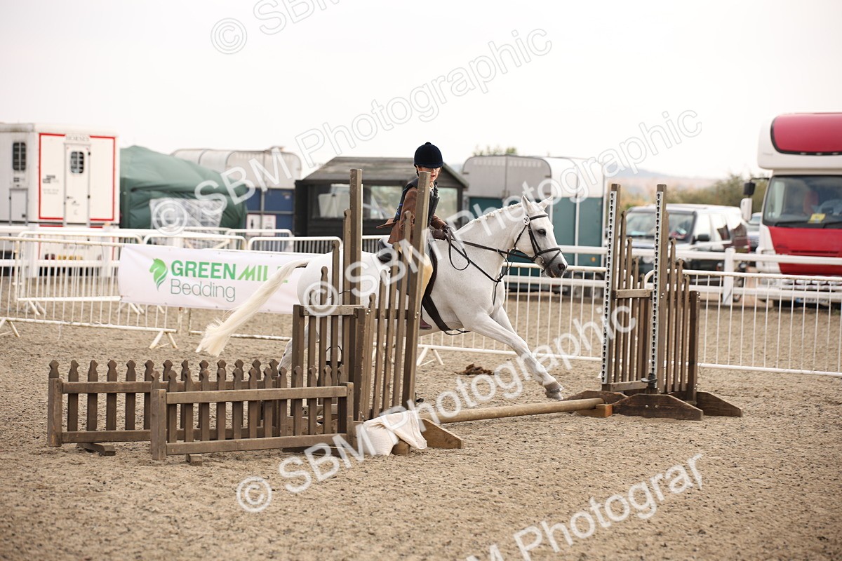 SBM_11653 - Class 404b Junior Working Veteran- 40cm(20+)