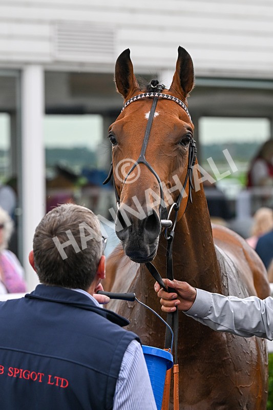 280824-Race 2-Flight Radar-4169 - Race 2