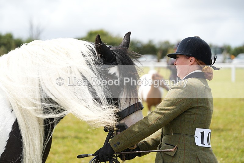DSC06930 - Class 60: Coloured Pony 4yrs & over