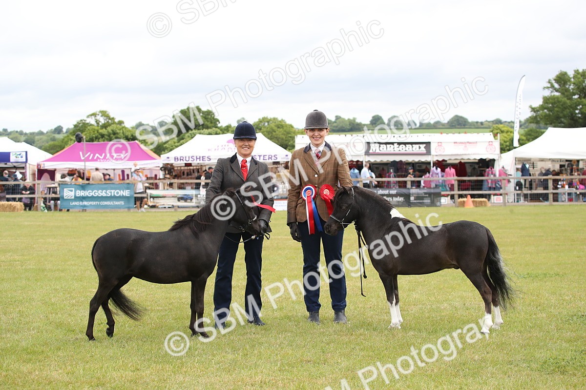 SBM_03581 - Class 23-25 - British Miniature Horse of the Year