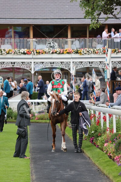 yr18082021r6-32 - Race 6 4.45pm IRE-Incentive It Pays To Buy Irish Stakes