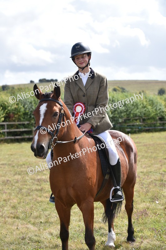 20250831-4038 - Class 12 - Working Hunter Pony 14.2hh and Under