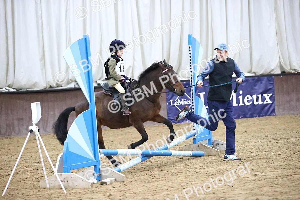 SBM_000039 - Class 1 - Fox Farriers 30cm