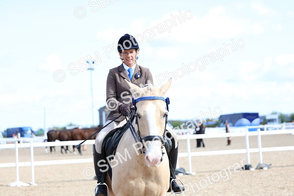SBM_11235 - Class 306 - Ridden Foreign Breeds - Part Bred